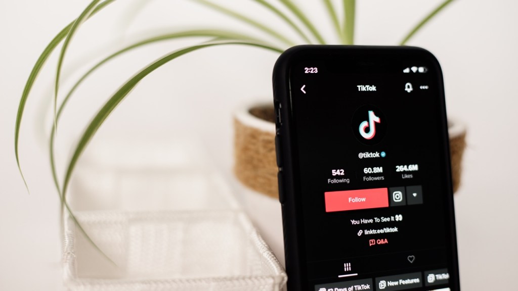 Cara Menambahkan Link di Bio TikTok yang Bisa Diklik&nbsp;(2024)